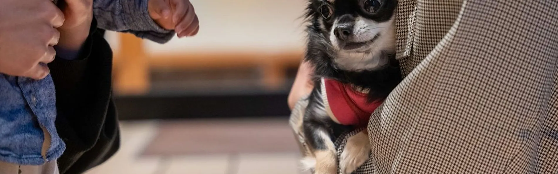 暖灯館きくのや