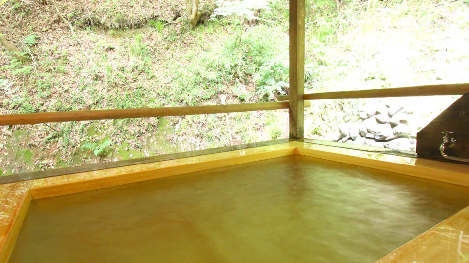 Handmade Soba Inn Yanagiya