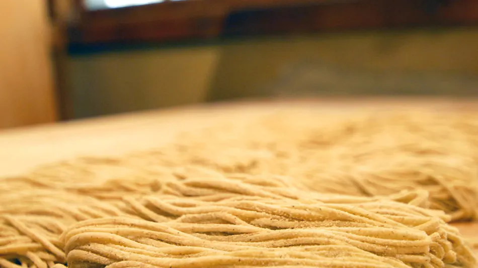 Handmade Soba Inn Yanagiya
