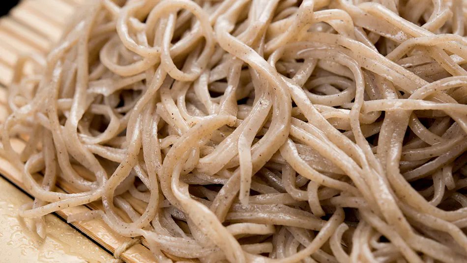 Handmade Soba Inn Yanagiya