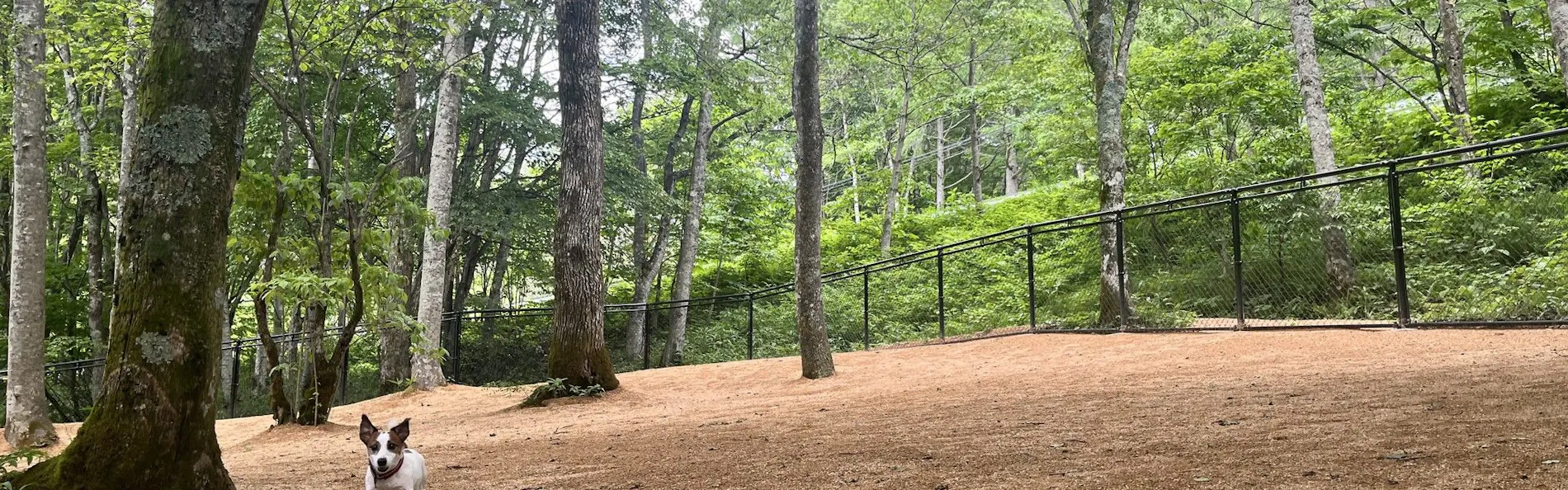 わんわんパラダイス 高山(旧:高山わんわんパラダイス ホテル&コテージ)