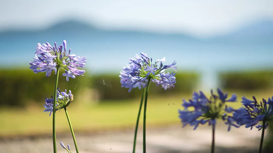 Resort Hotel Mihagi: A Healing Inn by the Sea