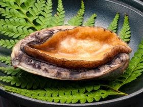 宵待ちの宿　萩一輪