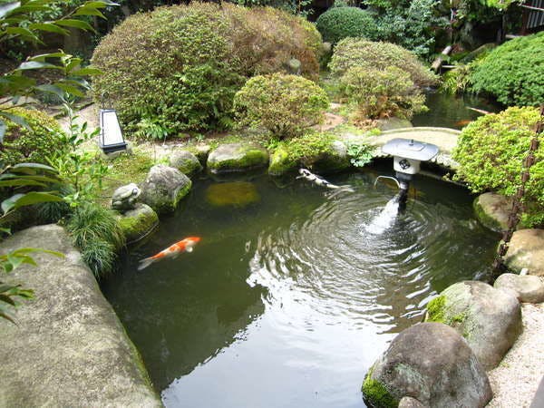 玉造温泉 源泉かけ流しの宿 湯陣 千代の湯