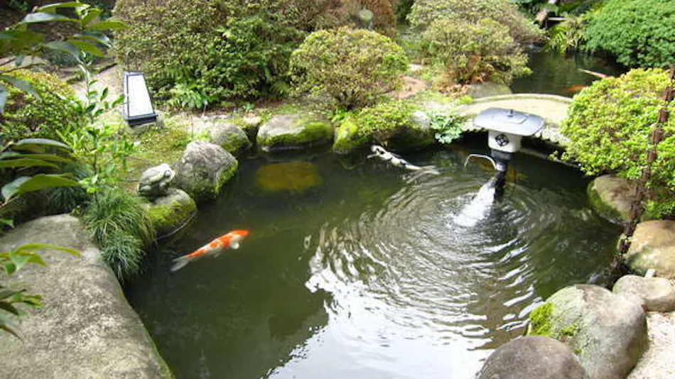 Tamatsukuri Onsen Gensen Kakenagashi no Yado Yujin Chiyonoyu