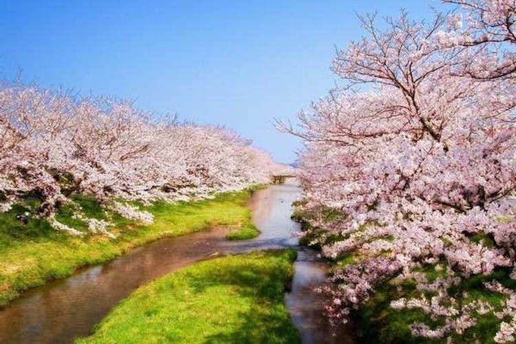 玉造温泉 源泉かけ流しの宿 湯陣 千代の湯 宿泊予約なら Yahoo トラベル 玉造温泉 源泉かけ流しの宿 湯陣 千代の湯 宿泊予約なら Yahoo トラベル