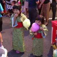 Shimanekko mengenakan yukata untuk festival♪