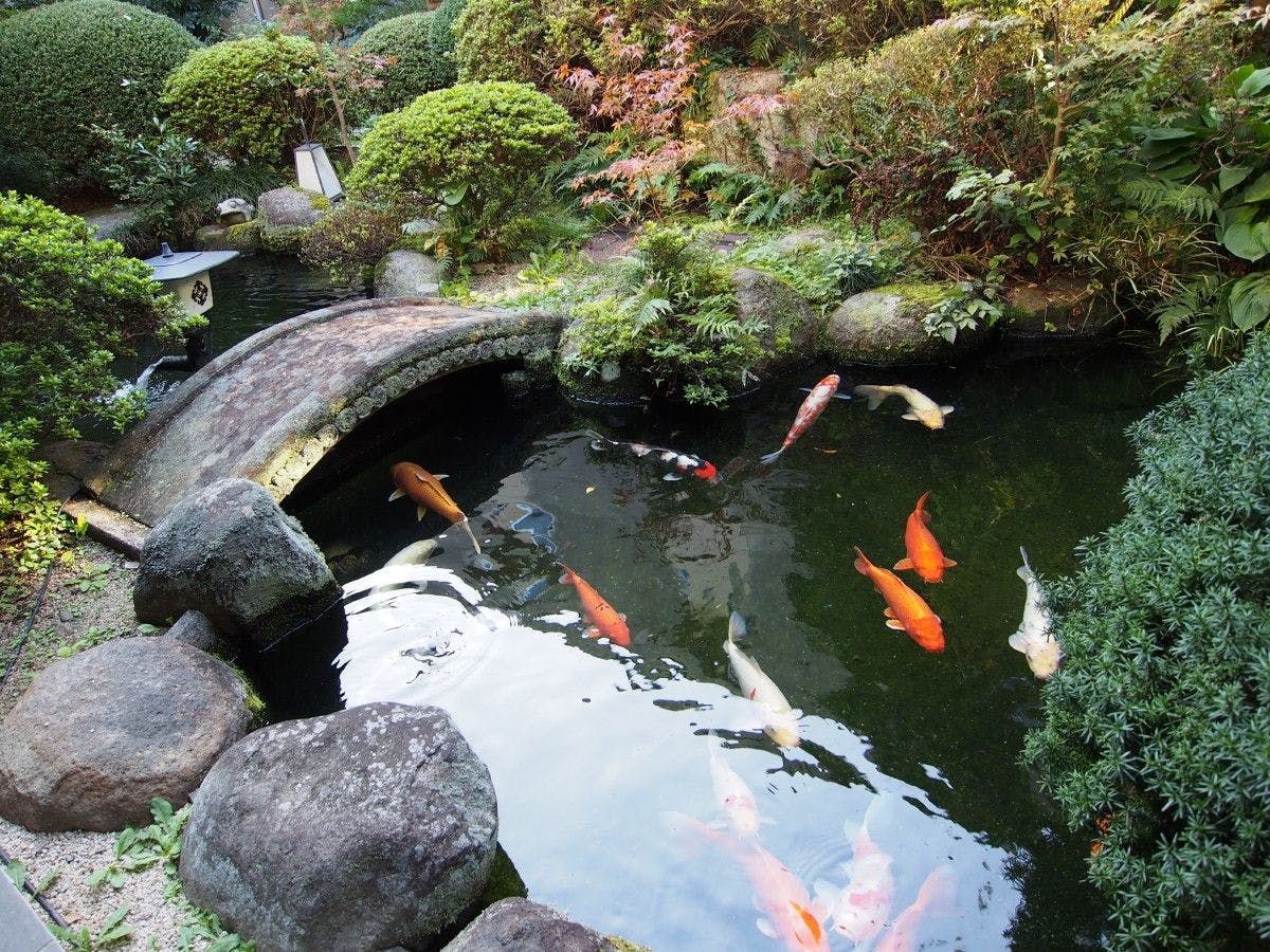 玉造温泉 源泉かけ流しの宿 湯陣 千代の湯