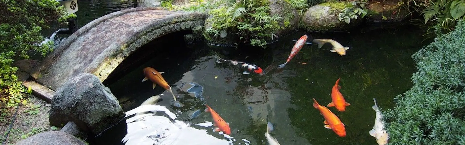玉造温泉 源泉かけ流しの宿 湯陣 千代の湯