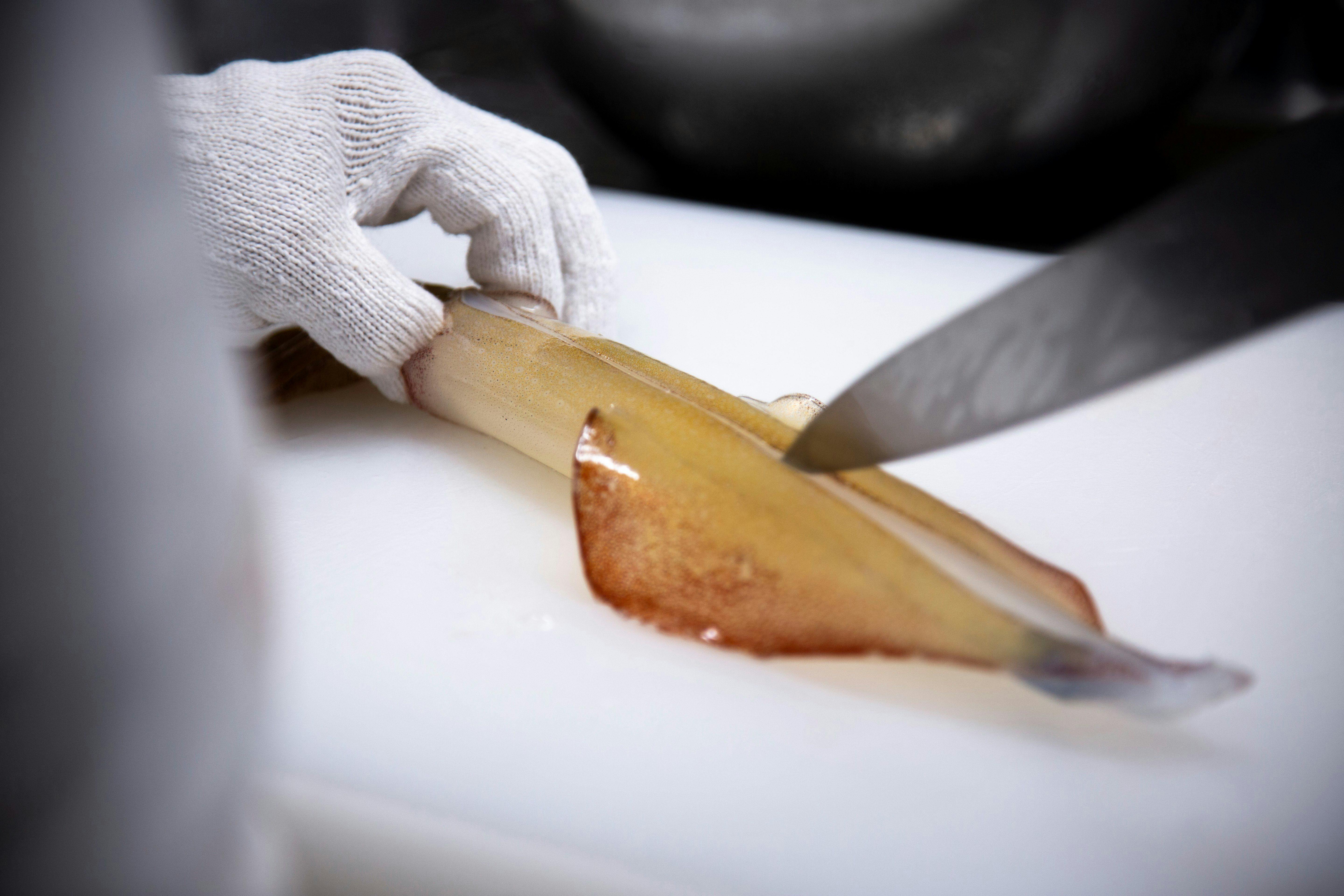 【初夏の味覚「活イカ」】