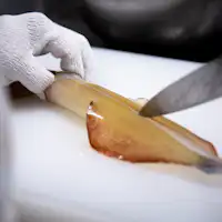 【初夏の味覚「活イカ」】