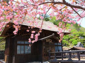 福島県で1週間程湯治ができる宿 旅館玉子湯の口コミ お湯たび 福島県で1週間程湯治ができる宿 旅館玉子湯の口コミ お湯たび