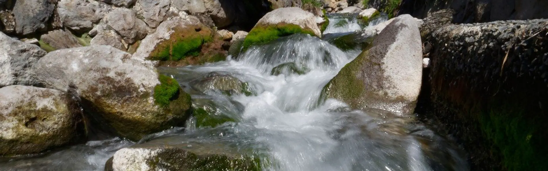 旅館玉子湯