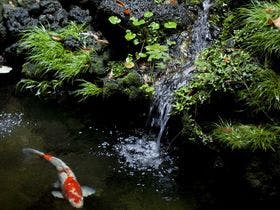 城崎温泉　喧噪の隠れ家　月のしずく