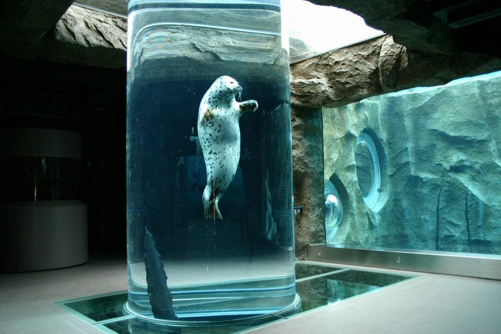 森のゆ花神楽 宿泊予約なら Yahoo トラベル