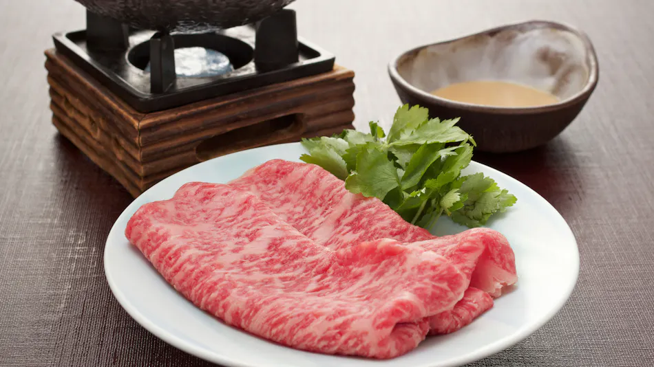 Biwako Lakeside Gourmet Inn Futabasou