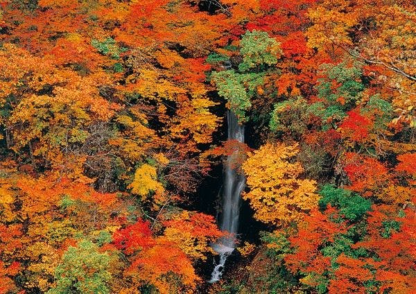 秋山郷「蛇淵の滝」