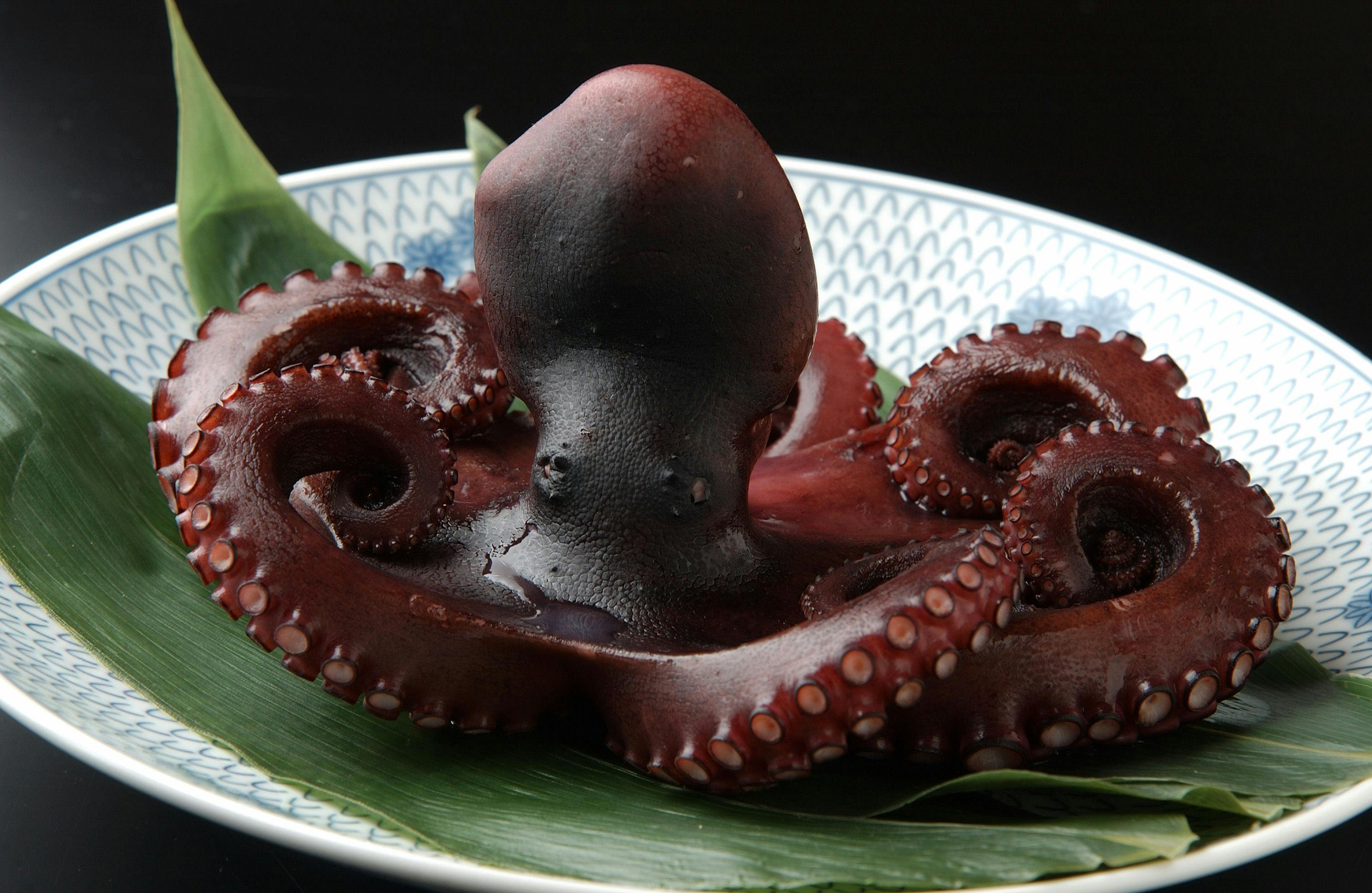 すず屋海游亭
