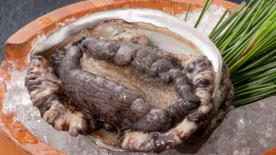 Misasa Onsen Misasa-kan