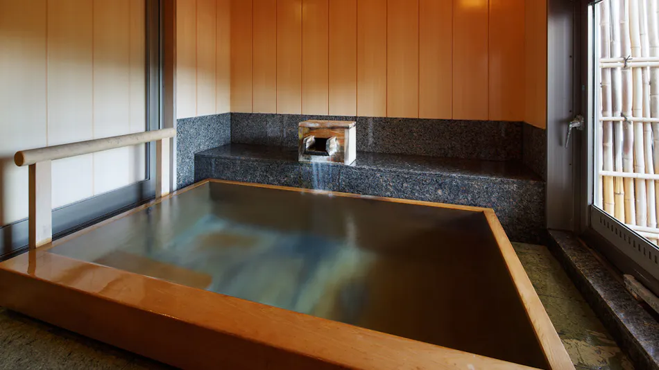 Niigata Iwamuro Onsen Private Hot Spring Inn Fujiya