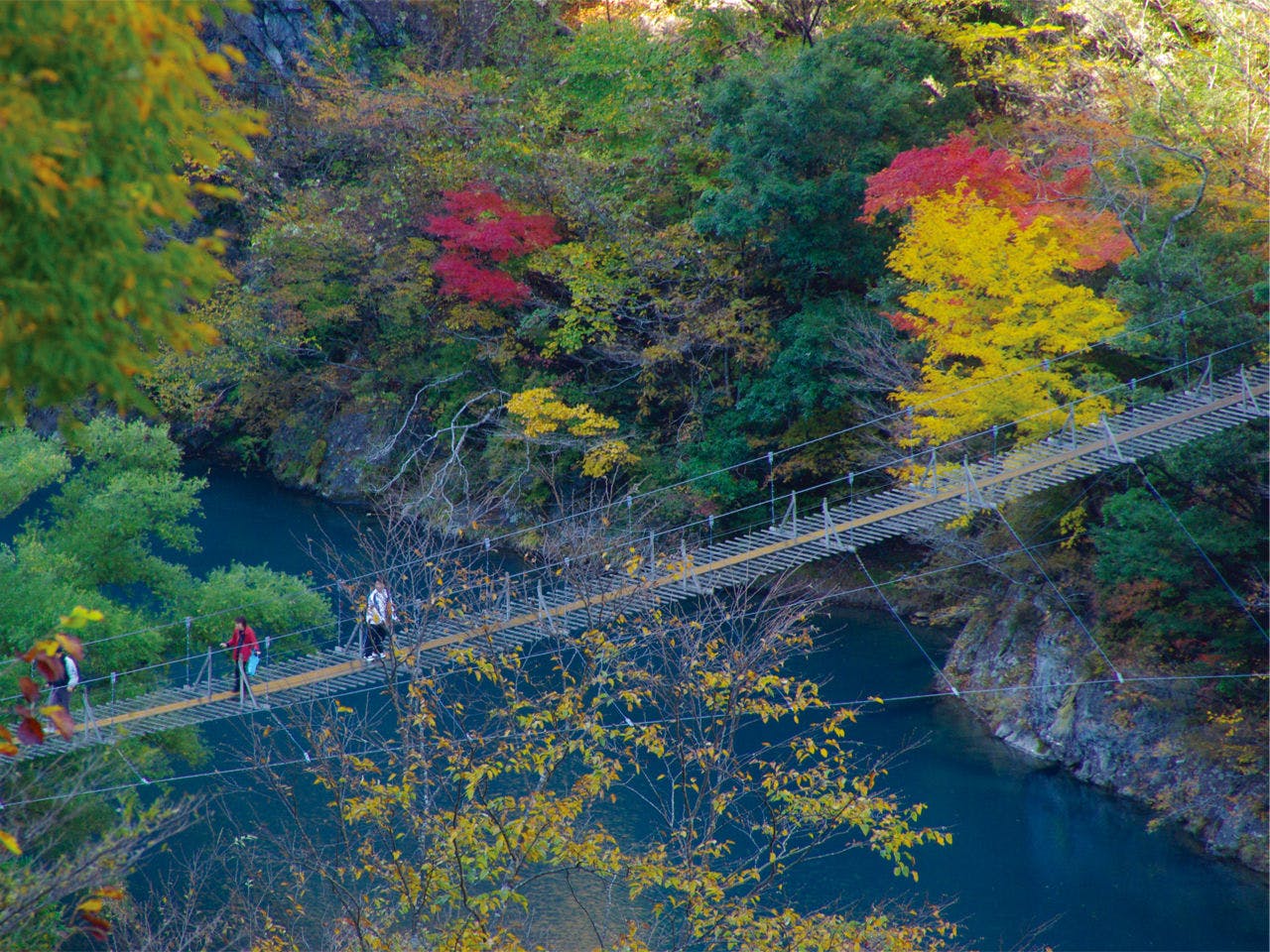寸又峡のシンボル「夢の吊橋」と「紅葉」