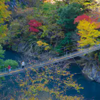 寸又峡のシンボル「夢の吊橋」と「紅葉」