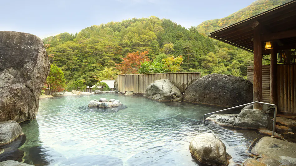 Hodakaso Yamano Hotel