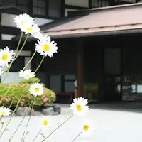 ภาพลักษณ์ภายนอก