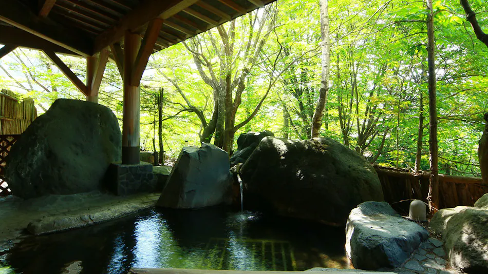 Hinano Yuyado Matsunoi