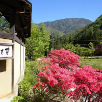 ■ บริเวณรอบๆ สิ่งอำนวยความสะดวกที่เต็มไปด้วยความเขียวขจี