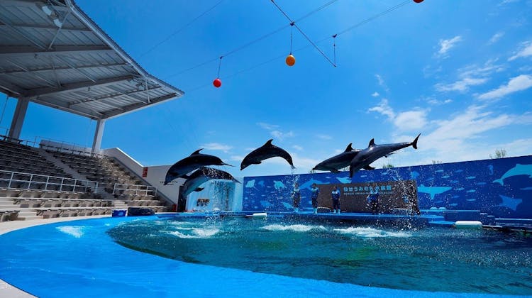 秋保温泉 ホテル華乃湯 の宿泊プラン 予約 Yahoo トラベル 秋保温泉 ホテル華乃湯 の宿泊プラン 予約 Yahoo トラベル