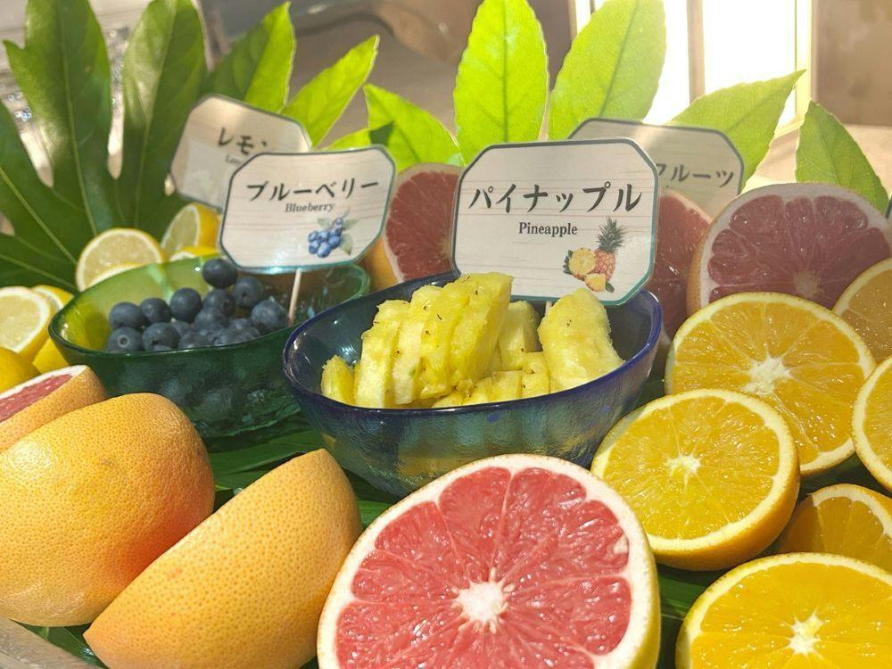 【9月お日にち限定】チェックインからビール・ハイボールも～飲み放題付バイキング～