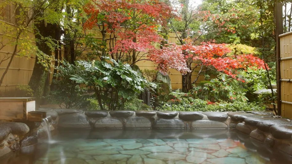Matsunoyu, Tamatsukuri Onsen
