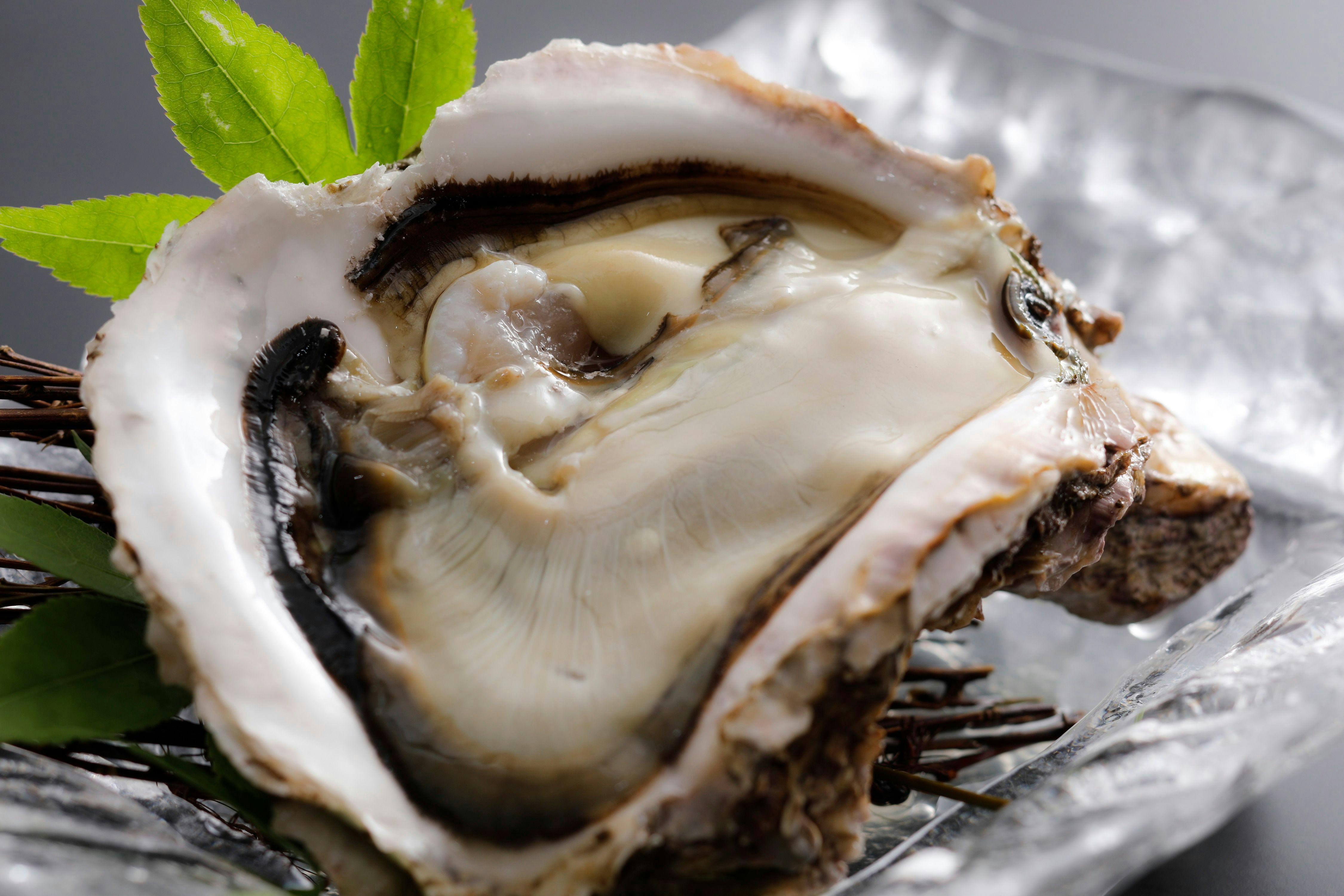 【岩牡蠣】初夏～夏限定「岩牡蠣」