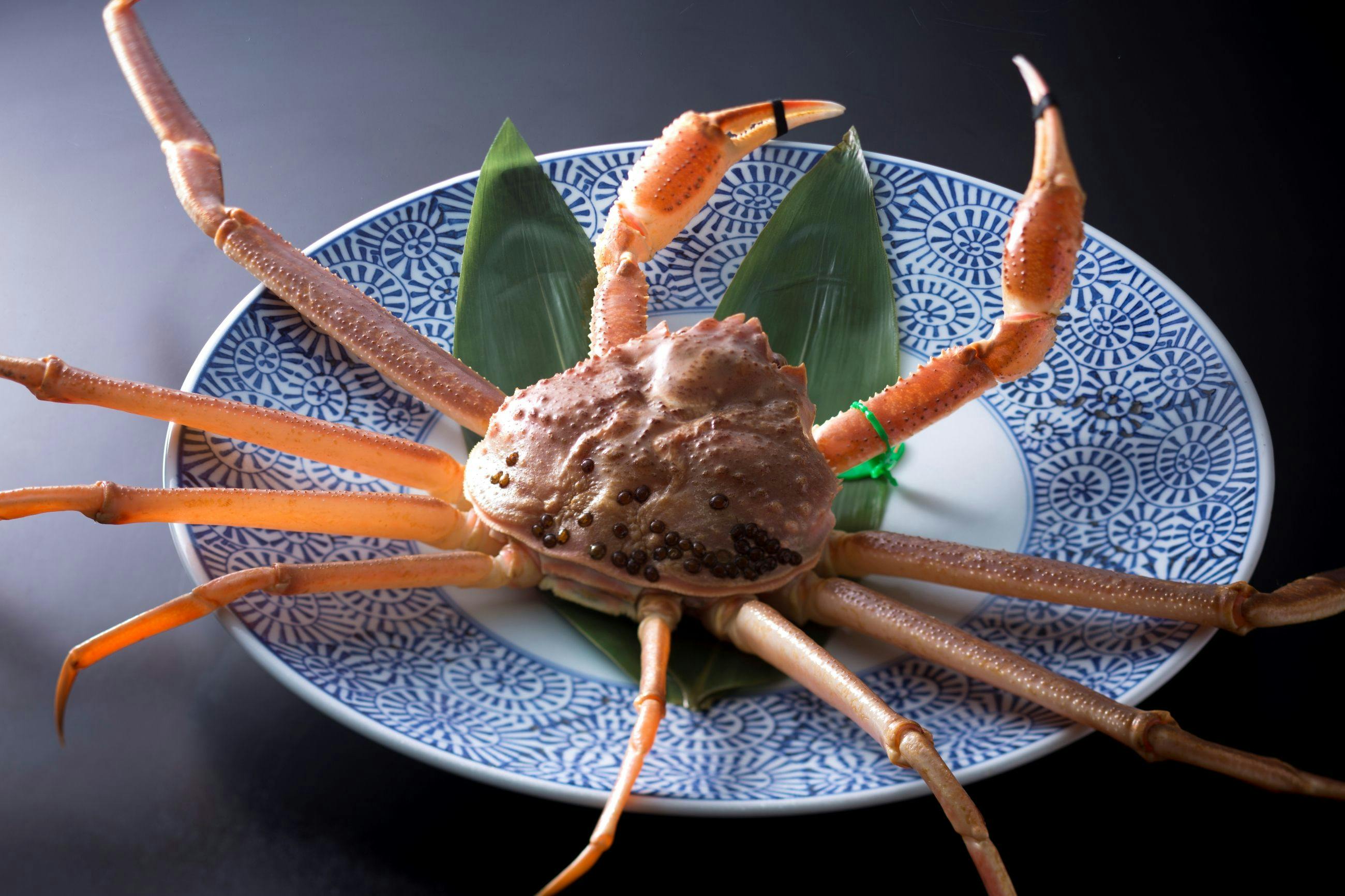 ホテル北野屋