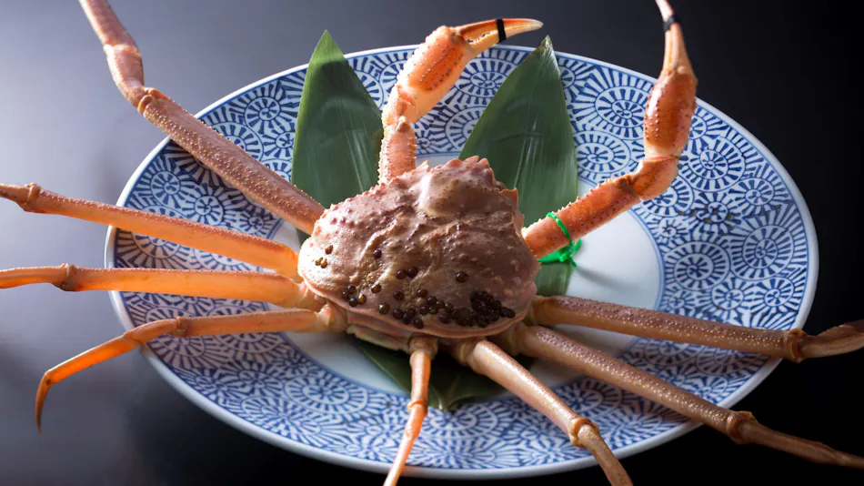 호텔 키타노야