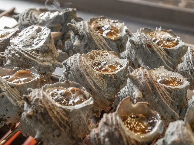 休暇村 指宿