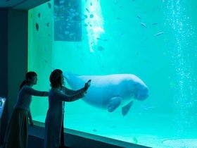 ホテル＆リゾーツ イセシマ （【旧店名】伊勢志摩ロイヤルホテル）