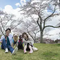 All dogs are welcome!