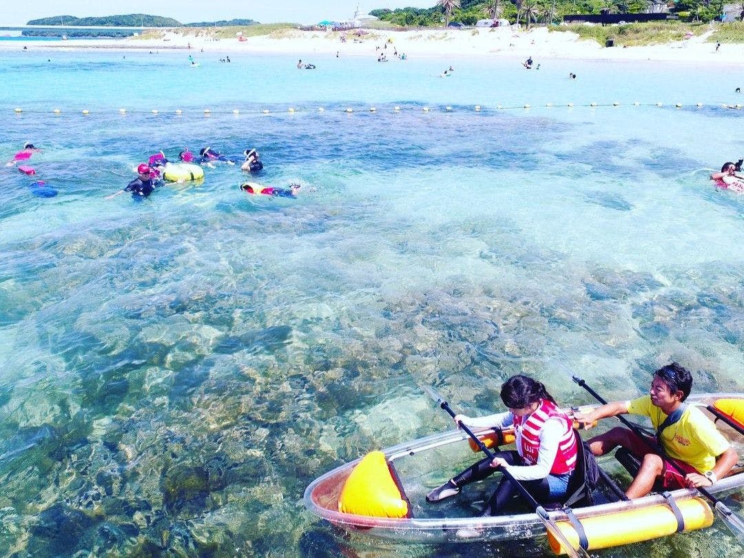 海洋活动（需额外付费）