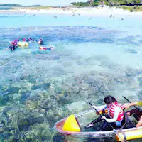 海洋活动(需额外付费)