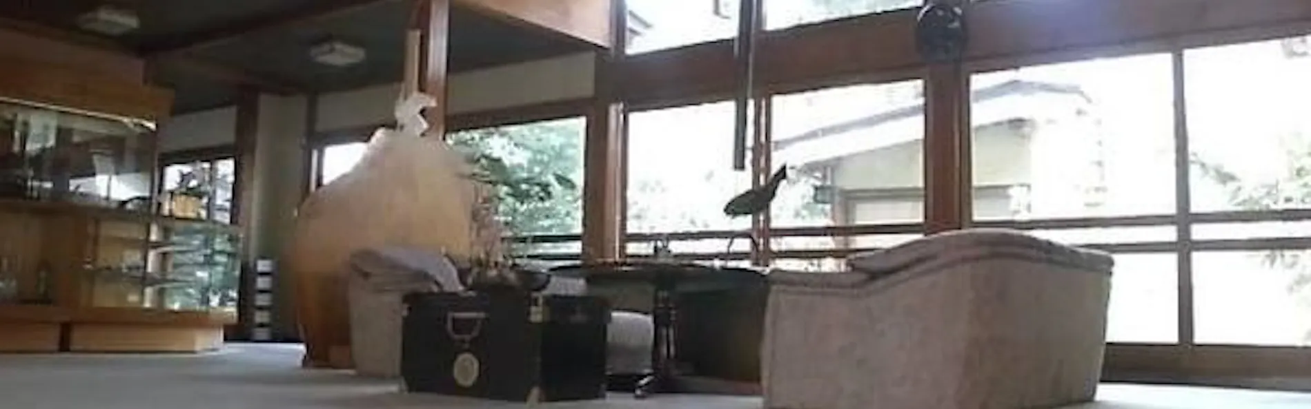 亀清旅館