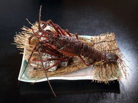 潮騒が運ぶ旬魚の宿　二ツ島観光ホテル