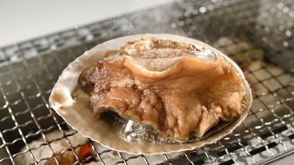 A Hidden Retreat for Adults to Enjoy Cuisine - Oyado Suehiro