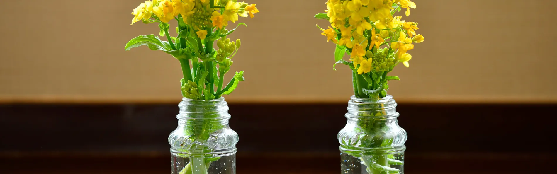 Auberge Suehiro <食の芸術と海の絶景が出逢う宿>