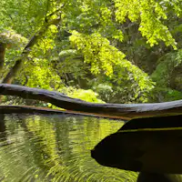 花水木_源泉かけ流し100%露天風呂付