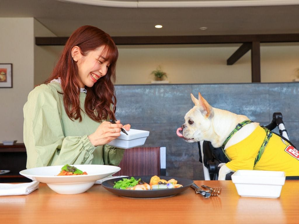 Coredor Yugawara Dog & Resort