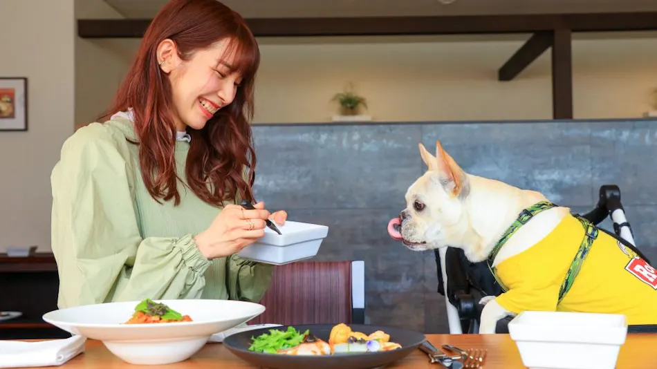 Coredor Yugawara Dog & Resort
