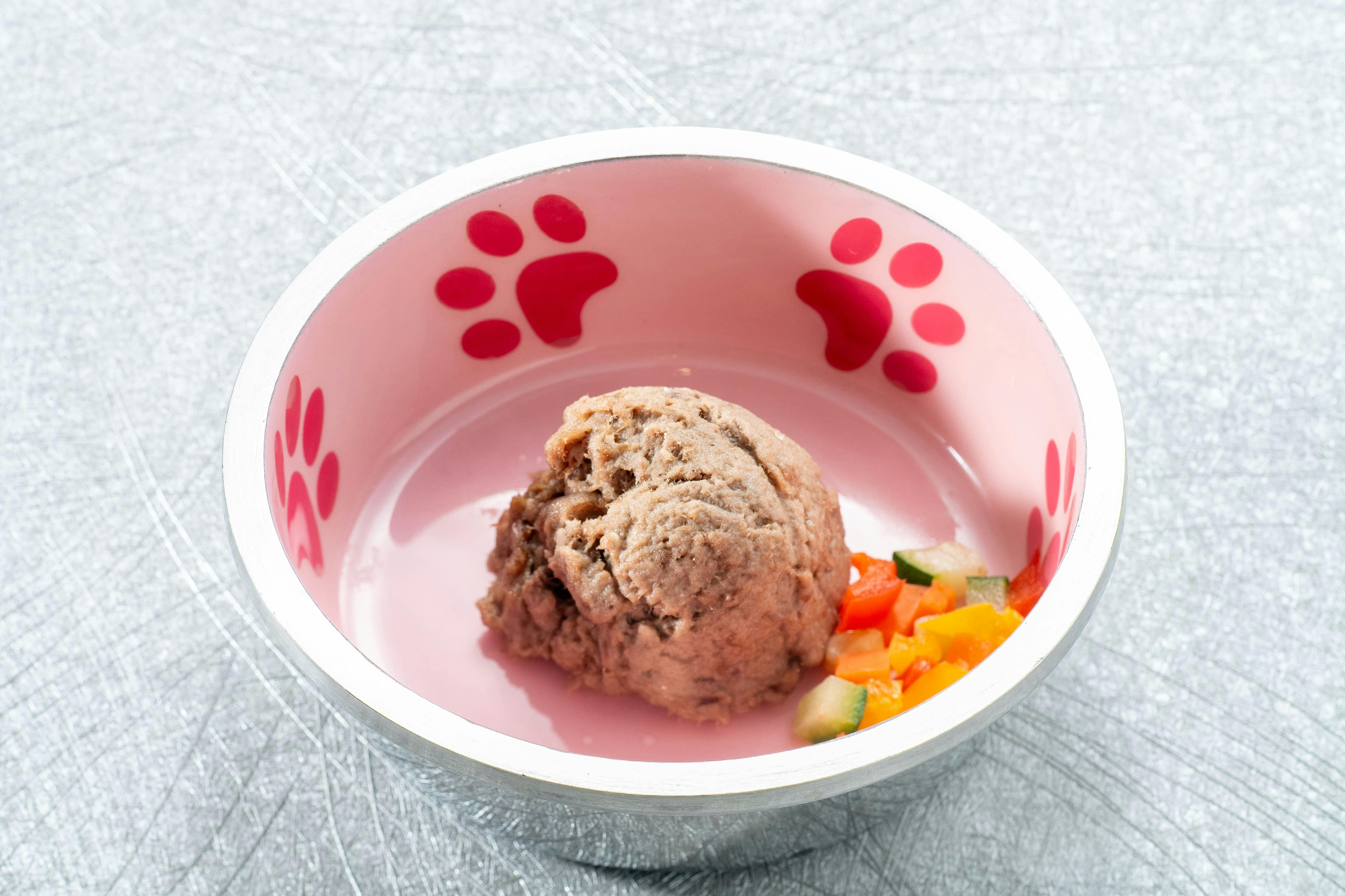 コレドール湯河原　Dog＆Resort