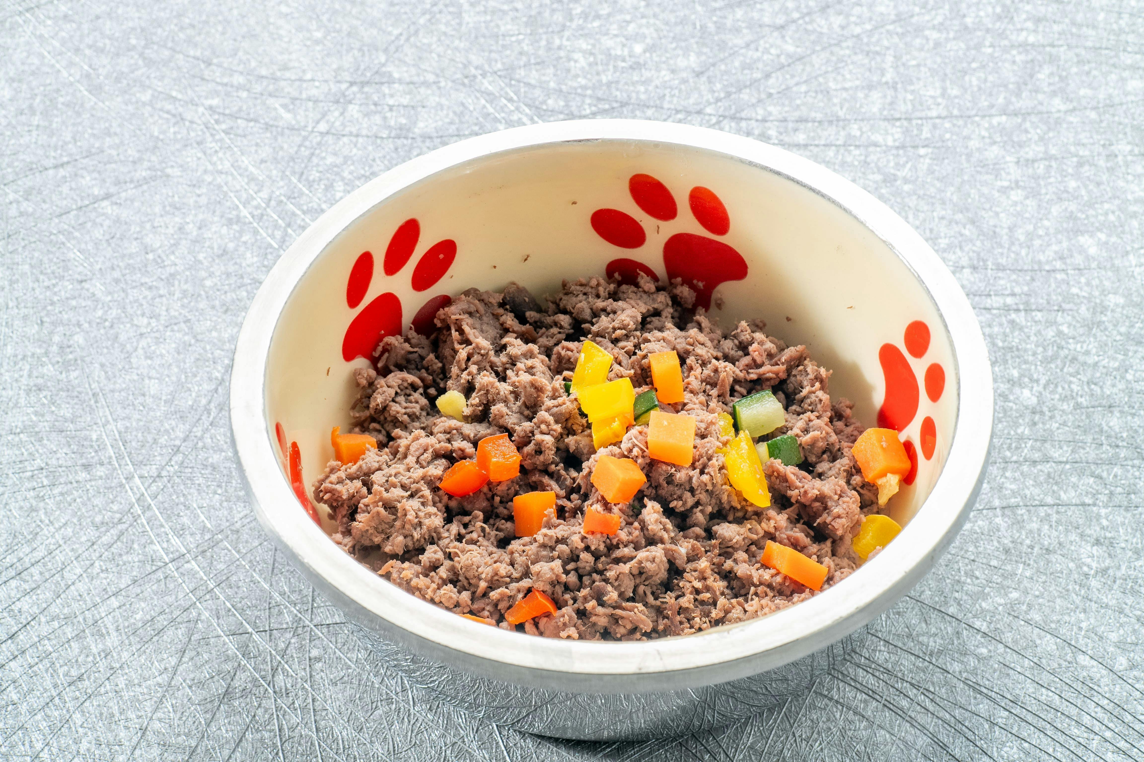 Coredor Yugawara Dog & Resort